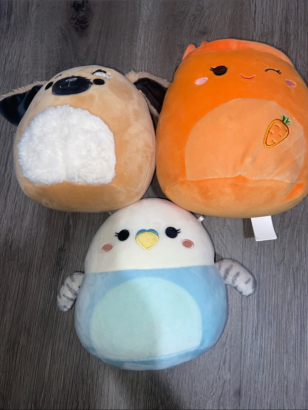 Squishmallows 8” Plush Small Pet Toy Trio - Orange, Tan, Blue BUNDLE